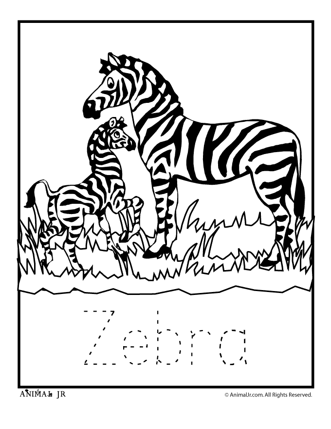 Plansa de colorat cu Zebra 13 5
